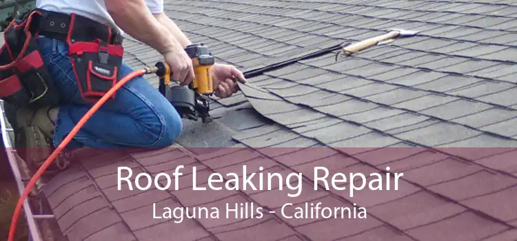 Roof Leaking Repair Laguna Hills - California