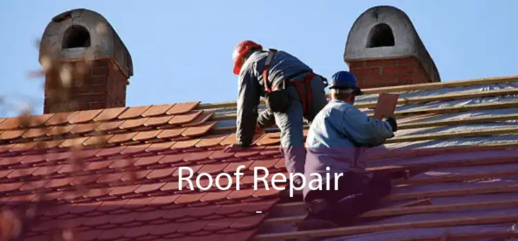 Roof Repair  - 