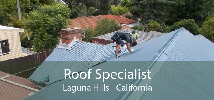 Roof Specialist Laguna Hills - California