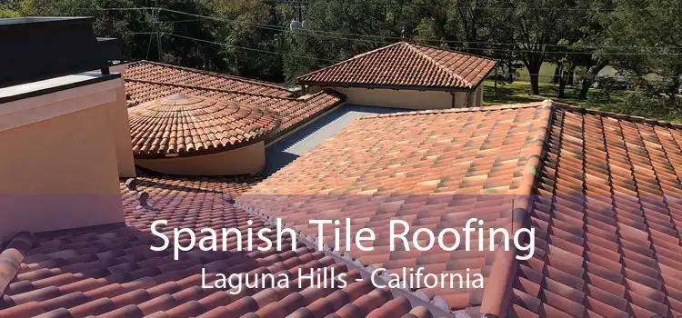 Spanish Tile Roofing Laguna Hills - California