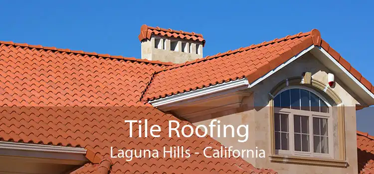 Tile Roofing Laguna Hills - California