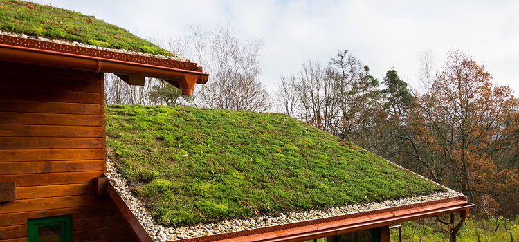 Laguna Hills Residential Green Roof